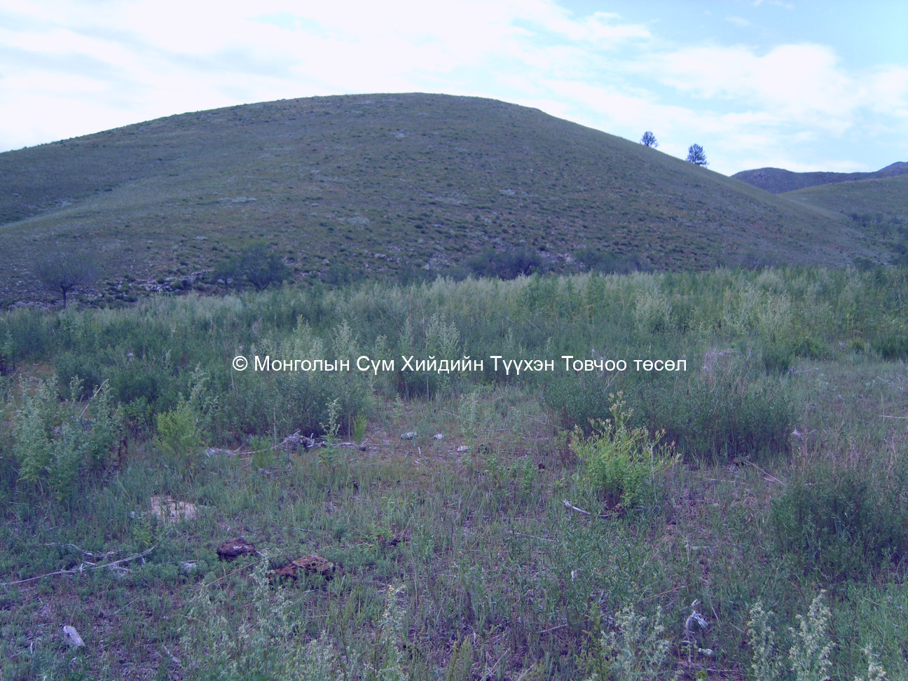 Зүүн талаас авсан